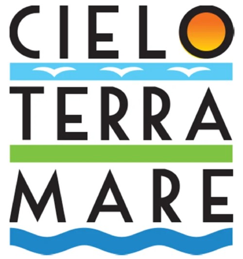 CTM Logo