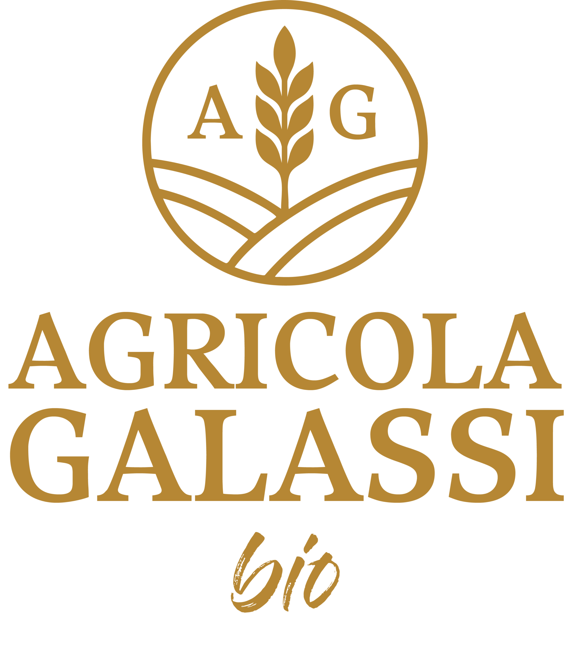 galassi